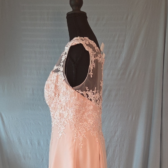 Elegant Lace Overlay Pink Dress - Picture 2 of 8